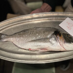 Langosteria Bistrot - 