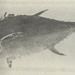 一期一会 よねさん - 