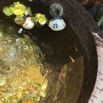 延喜 - メダカさん元気です♪