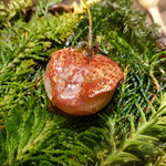 エースホテル京都 - 苺の餅