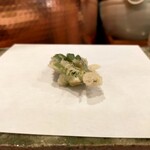 天白 - 山菜の女王様