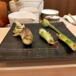 天白 - 春の山菜たち