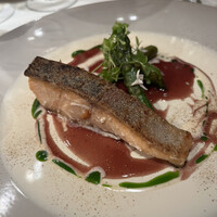 ジョンティ アッシュ - 