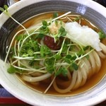 手打ちうどん 尾崎 - 梅ぶっかけうどん小、小鉢、アスパラ天、タマネギ天、おにぎり一個で６１０円。噛むと疲れるくらいのコシなので飲みました。