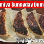 Sunny Day Dumpling - 