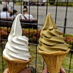 GELATO PIQUE CAFE - 料理写真: