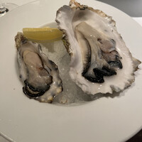 コントワール ミサゴ - 
