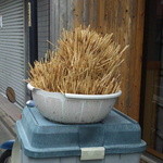 芳野屋 - こんなに食されているのね！！！