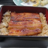 鰻割烹 伊豆栄 梅川亭 - 