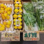 大地の青果店 - 野菜達