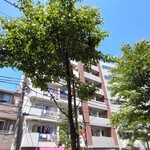 煮干し中華そば 一剣 - 桜の樹も成長したな～