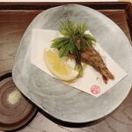 くずし 之助 - メヒカリと明日葉、日向夏。