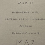 MAZ - 