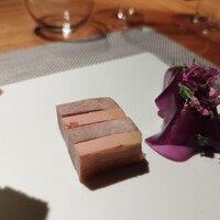 Metis 六本木 - 