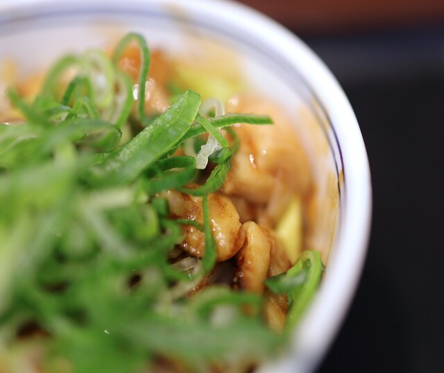 Yoshinoya Akabane Higashiguchi Ten photo 2