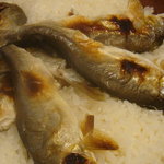 比良山荘 - 脂の乗った少し大きな鮎でした♪