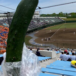 埼玉県営大宮公園野球場 - きゅうり