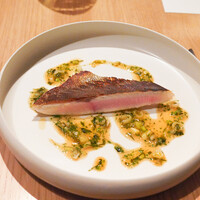 NeMo - ウメイロ（魚）に鳥ラッキョウソース