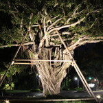 ザ・ブセナテラス - 