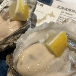 VIGO OYSTERBAR - 