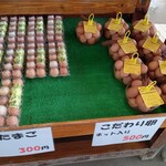 Kii Furusato Mura - 初たまご・こだわり卵
