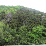 手打そば　いしやま - 遠く山肌には･･･、