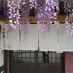 金澤さぬき - 藤の花が美しい店頭♪