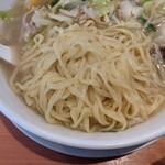 Hidakaya - 野菜たっぷりタンメンの麺