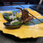 日本料理 梅林 - 伊勢海老