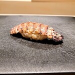 島津 - 追加のシャコ