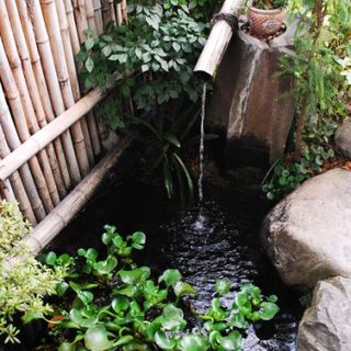 石庄庵の蕎麦は水が違います