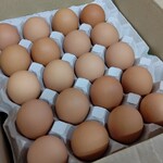 鎌田養鶏直売所 たまご畑 - 