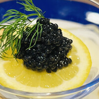 Russian Restaurant ROGOVSKI 銀座 - 