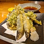 お酒と創作和食を楽しむお店 酒彩 たなか - 