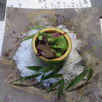 酒と二十四節気料理 きのえね omoya - 初鰹サラダ青竹盛り