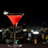 Flying Crane（フライング クレーン） ～祈り～
