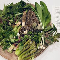 亜絲花 - 
