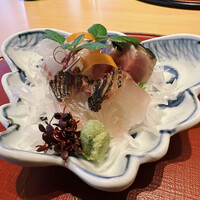 川梅 懐石・鮨 - 