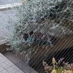 グランディール アンサンブル - 