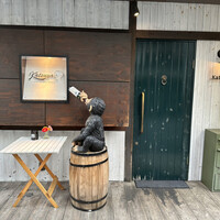 Katsuya charcoal grill steakhouse - 
