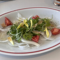 CODA ROSSA -  CODA ROSSA -