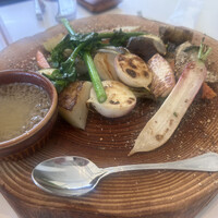 CODA ROSSA -  CODA ROSSA -