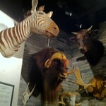 焼肉 ジャンボ - 