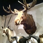 焼肉 ジャンボ - 