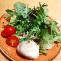 オービカ モッツァレラバー 横浜店 - 