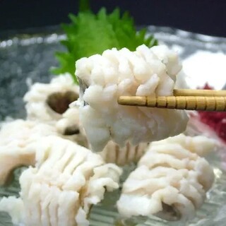 浅草魚料理遠州屋で美味しい時間をお過ごし下さい！