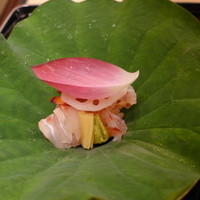 菊乃井 本店 - 蓮の香りも美しく向付