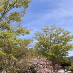 ラ・テラッツァ 芦ノ湖 - 