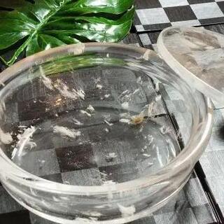 水晶鍋を使用したしゃぶしゃぶコース