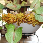 ザ・ブセナテラス - 